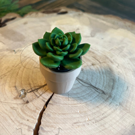Spinny Succulents 3D Printed
