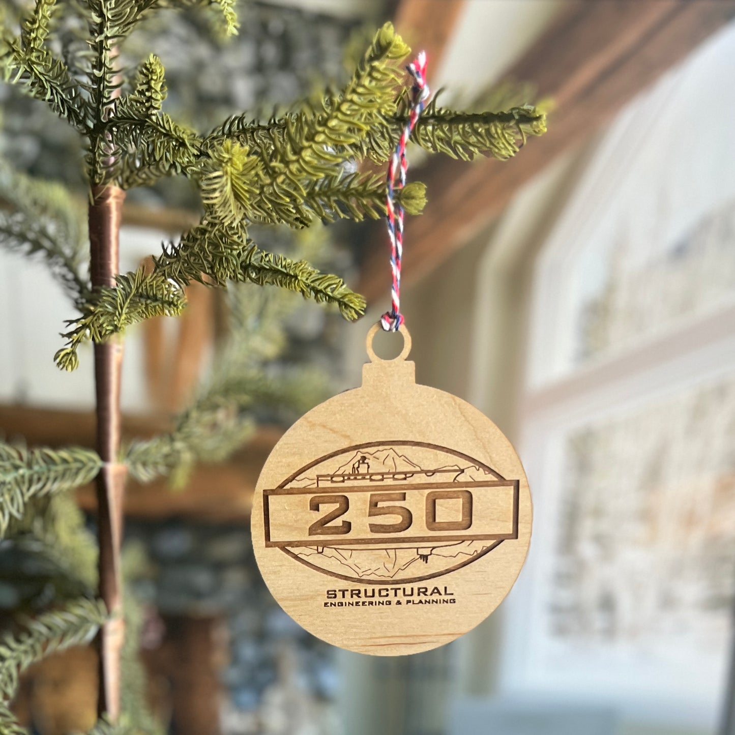 Code 250 Christmas Ornament