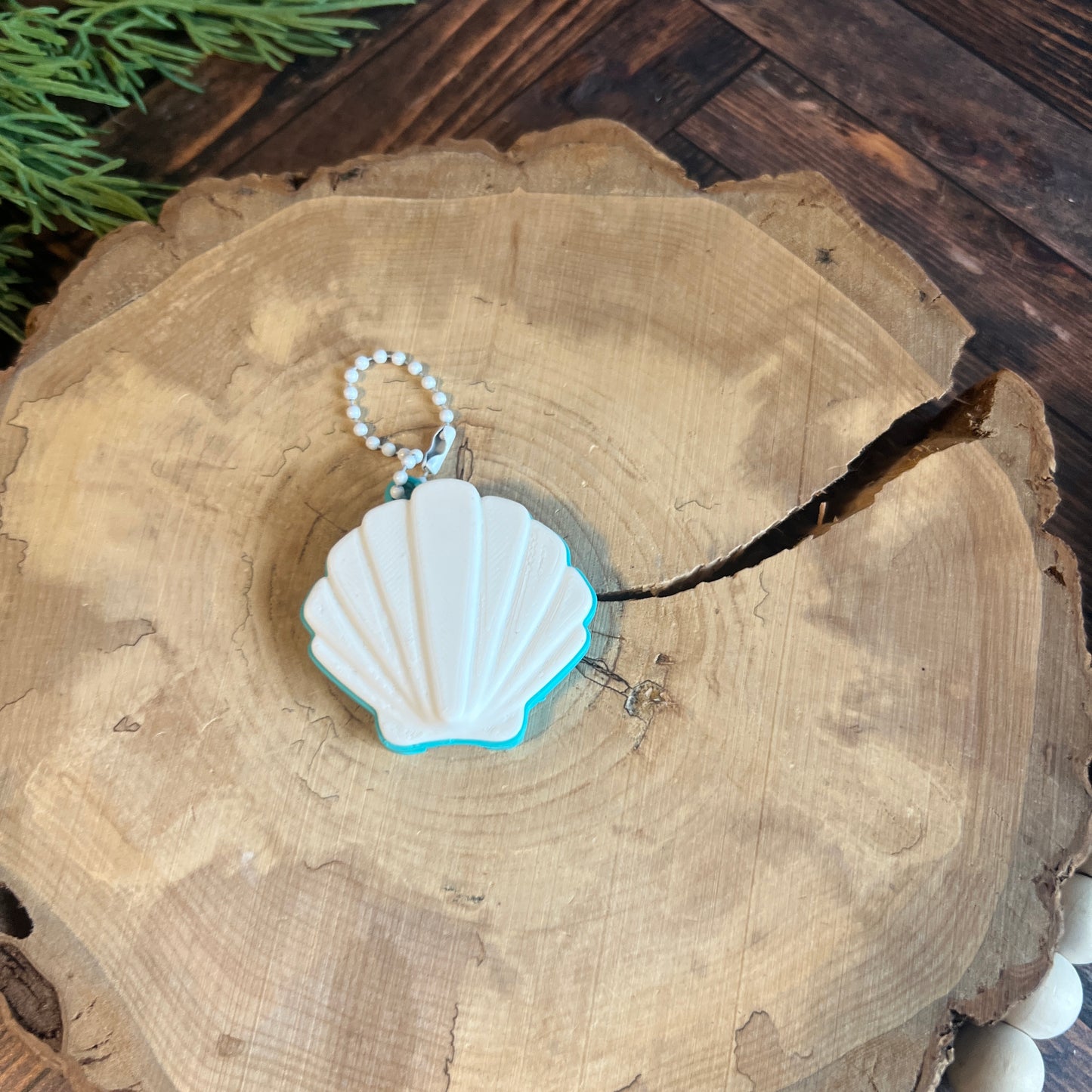 Sea Shell Soda Can Opener