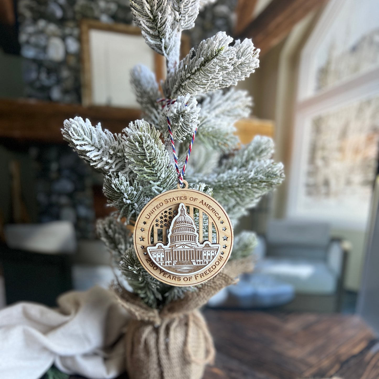 250th Anniversary Ornament USA