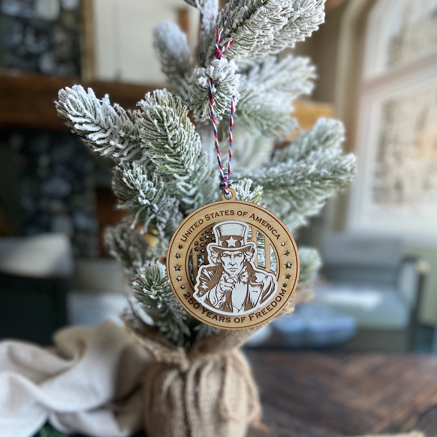 250th Anniversary Ornament USA