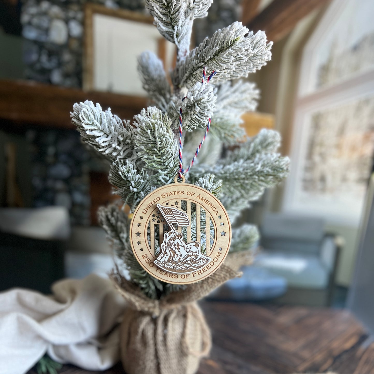 250th Anniversary Ornament USA