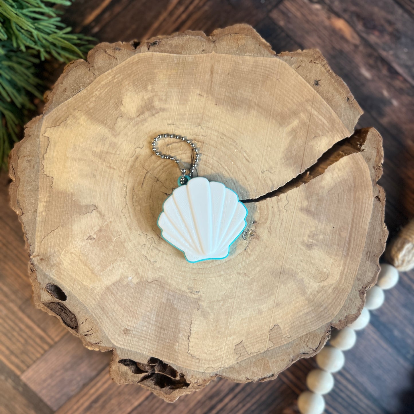 Sea Shell Soda Can Opener