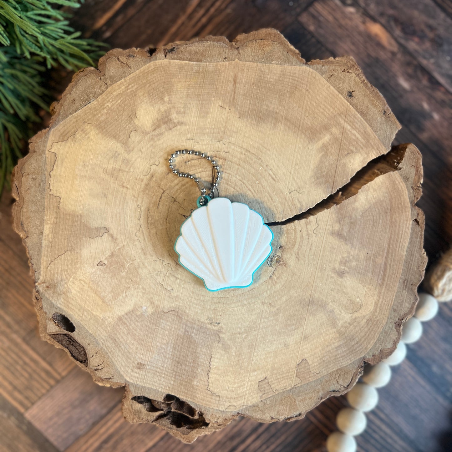 Sea Shell Soda Can Opener