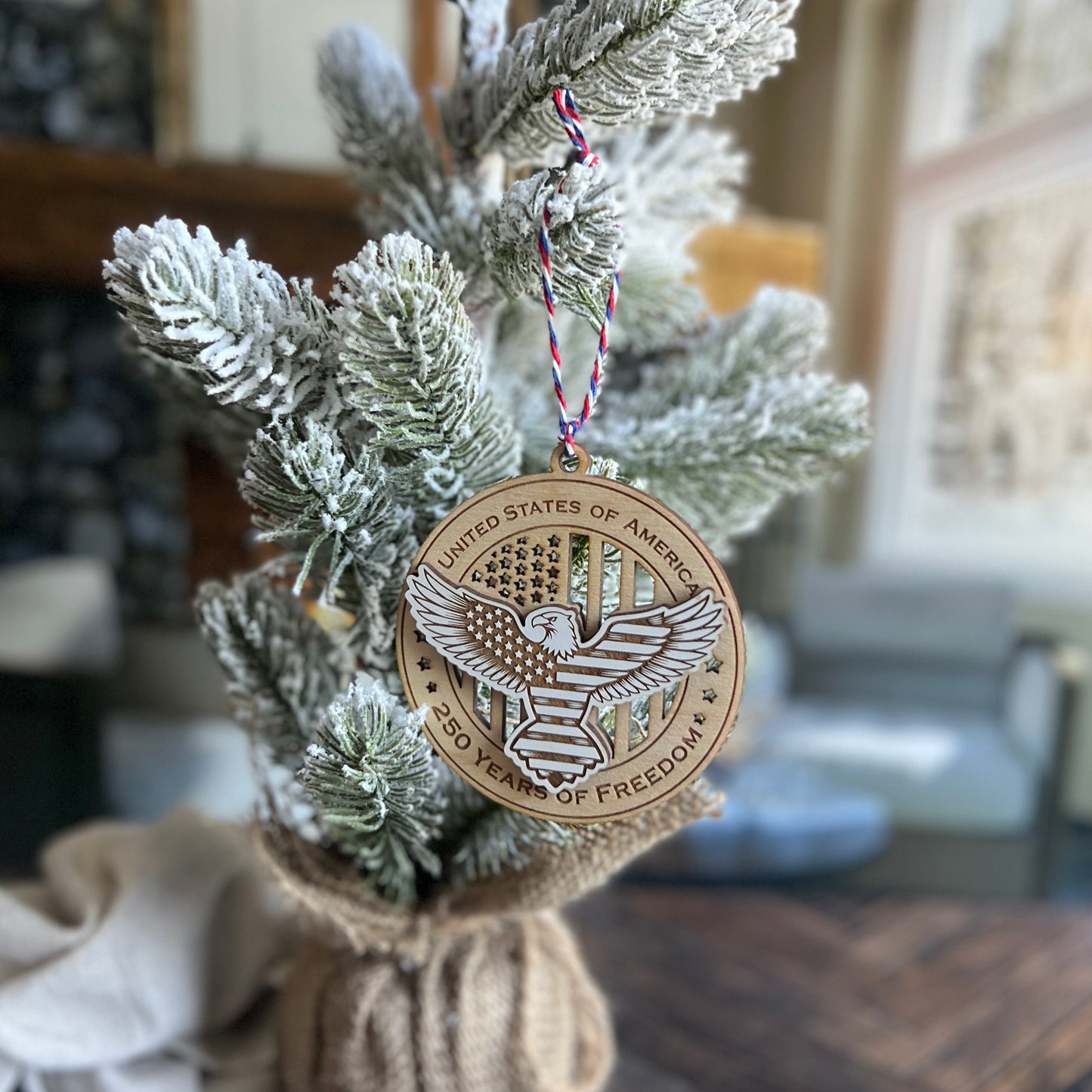 250th Anniversary Ornament USA