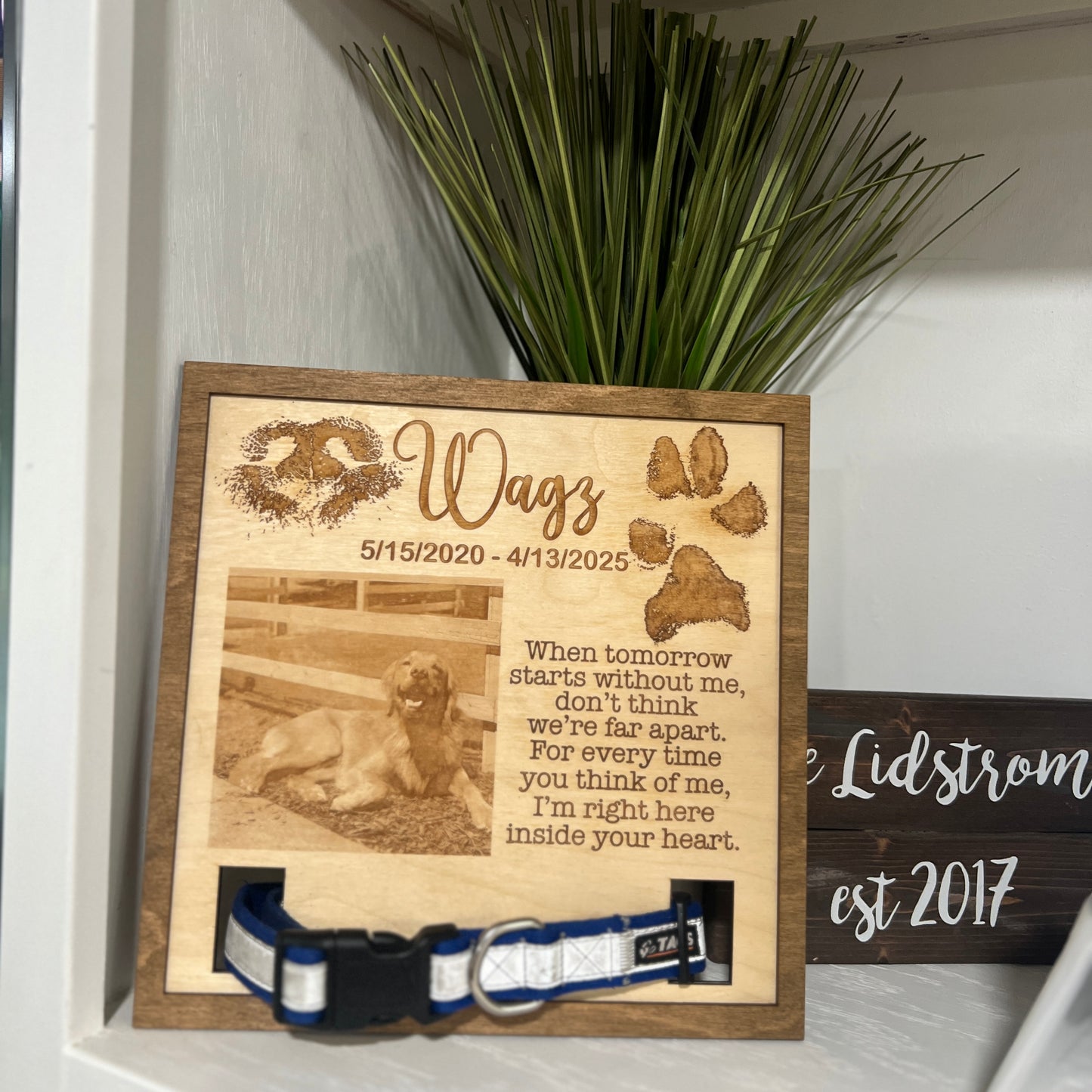 Pet Memorial Collar Frame With Holder