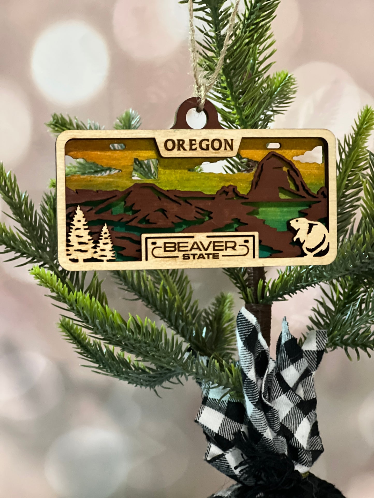 State License Plate Ornaments